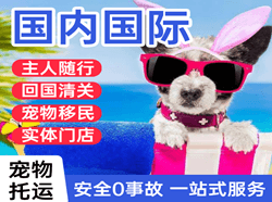 鸡西机场快递国际宠物托运 【国
